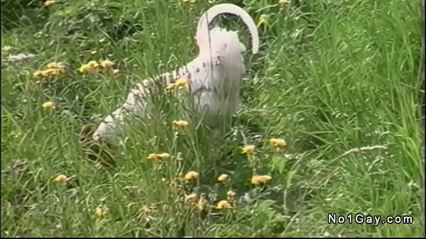 Gays sucking and fucking at country cabin